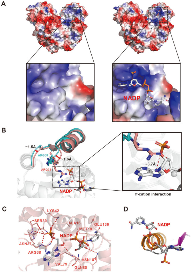 Fig. 4