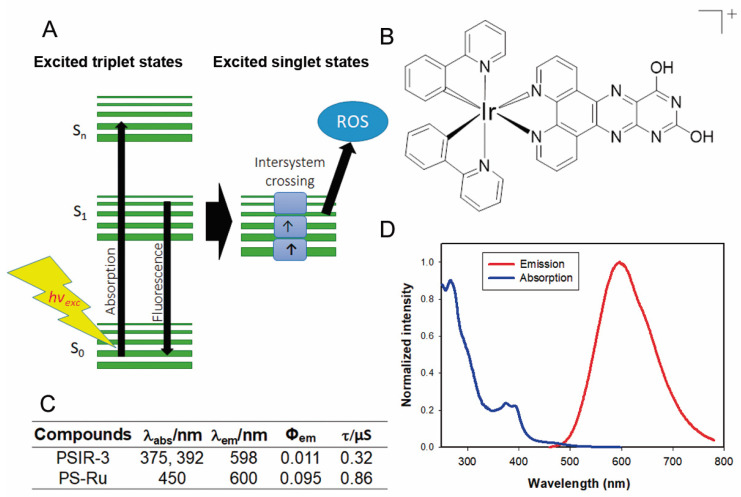 Figure 4