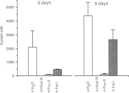 graphic file with name pnas00256-0343-a.jpg