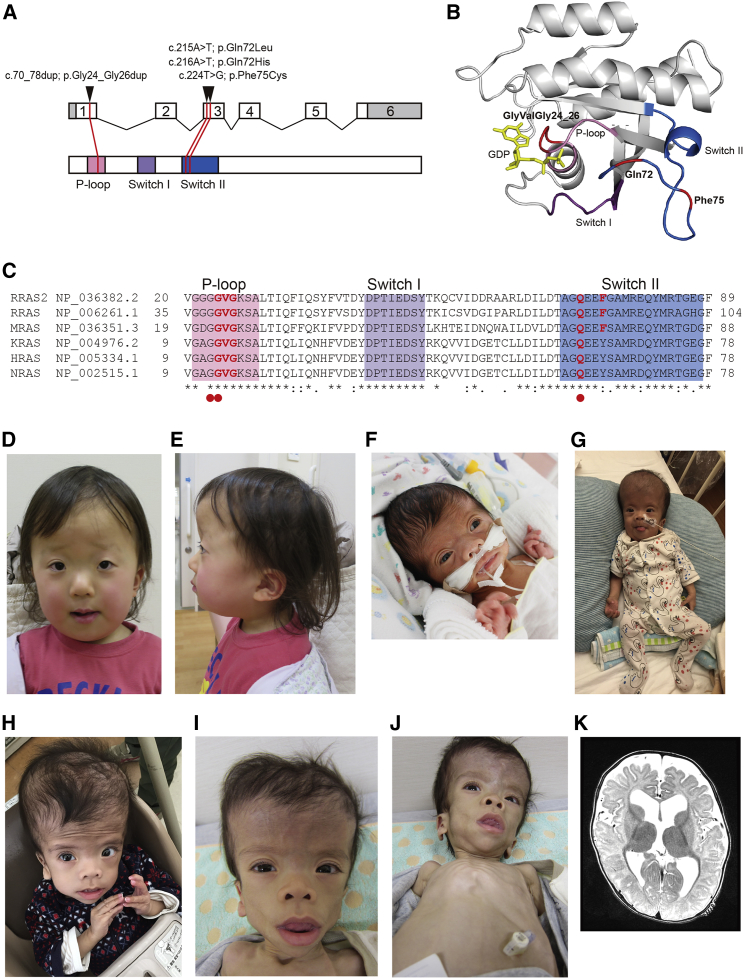 Figure 1