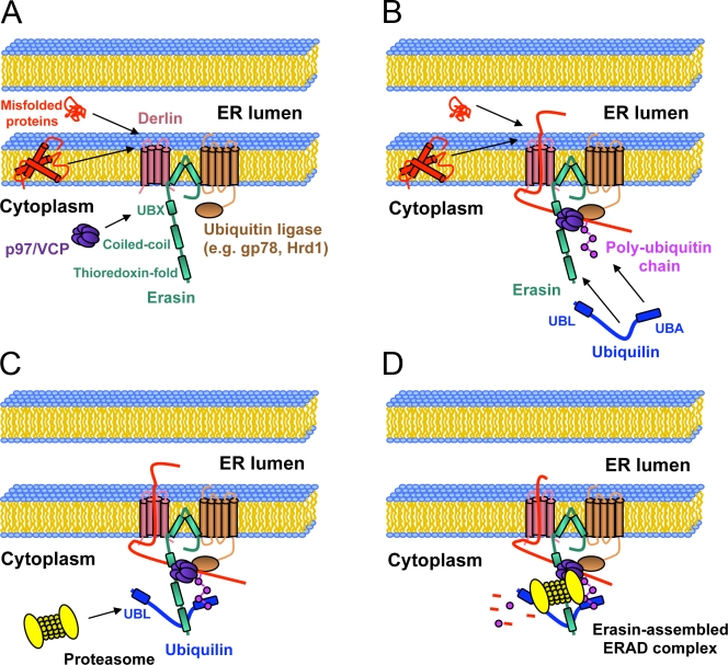 Figure 10.