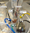 Figure 3: