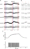 Figure 6: