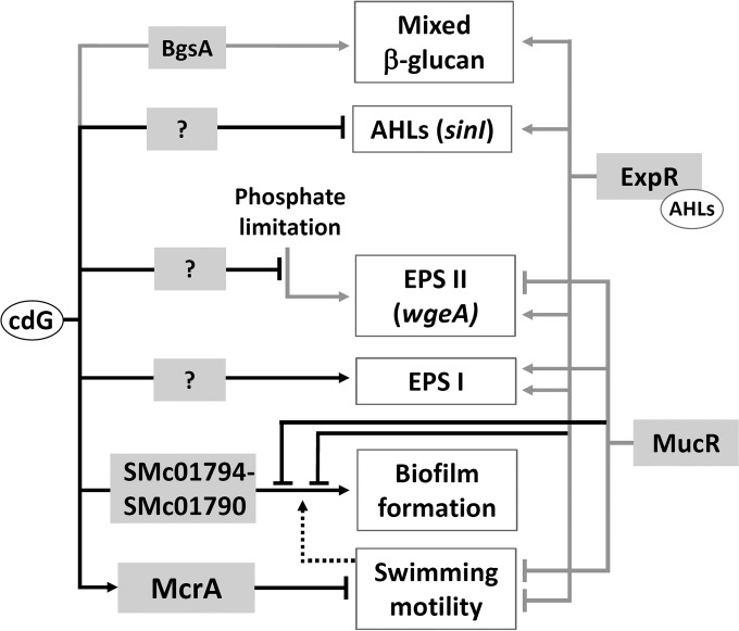 FIG 10