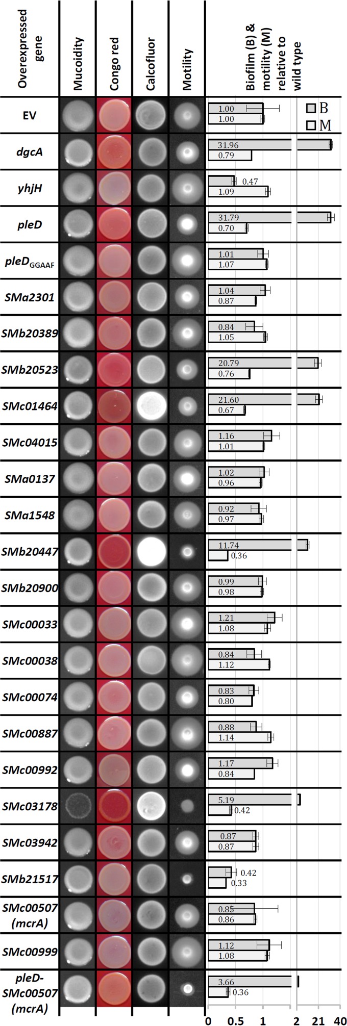 FIG 3