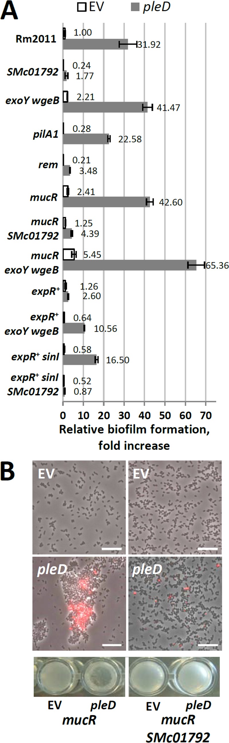 FIG 8