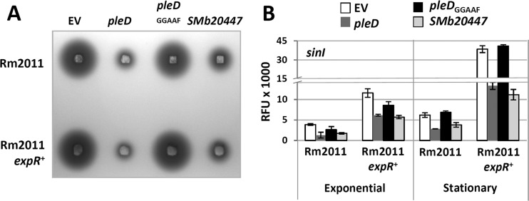 FIG 7