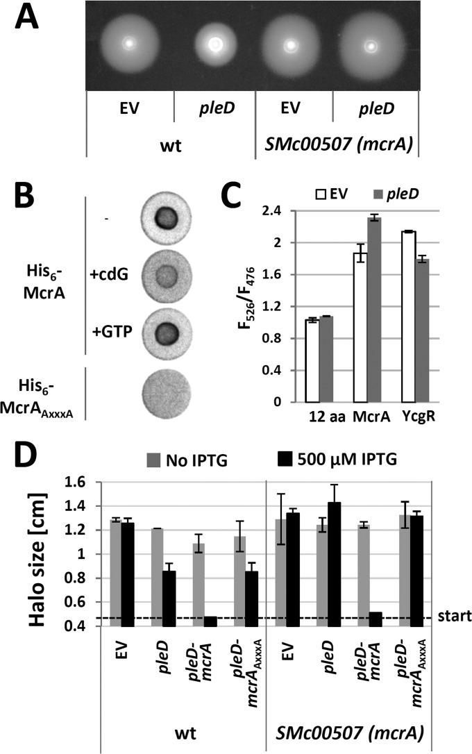 FIG 9