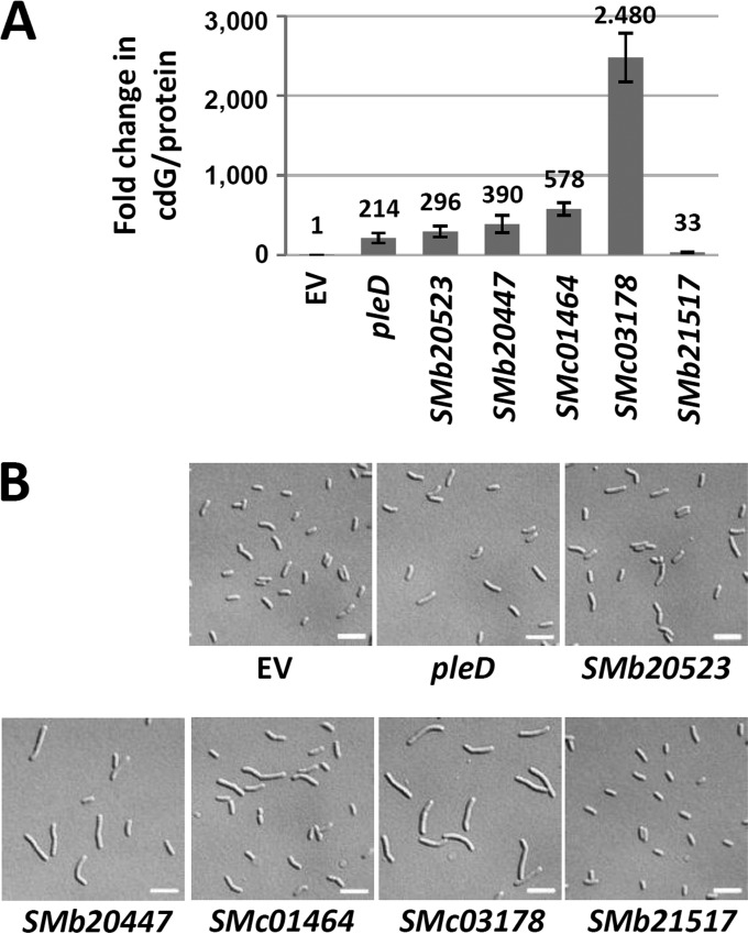 FIG 4