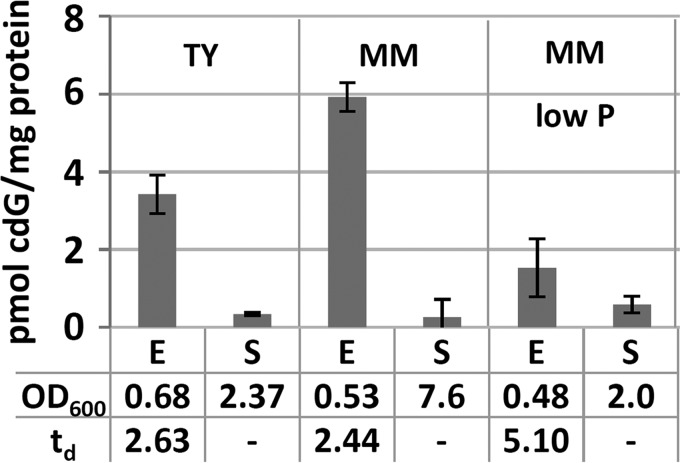 FIG 1