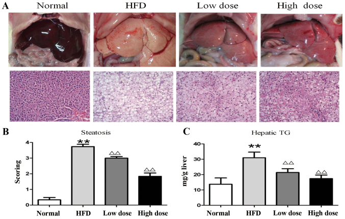 Figure 3.