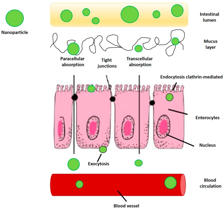 Figure 6