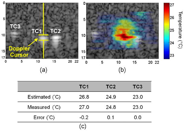 Fig. 10