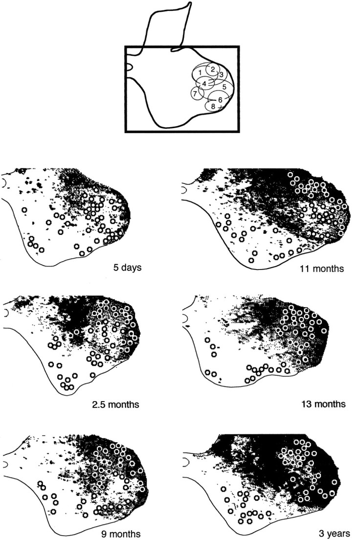 Fig. 7.