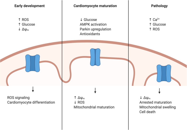 Fig. 4