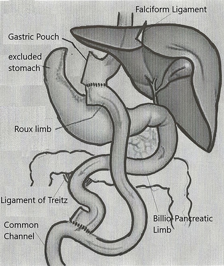 Fig. 5