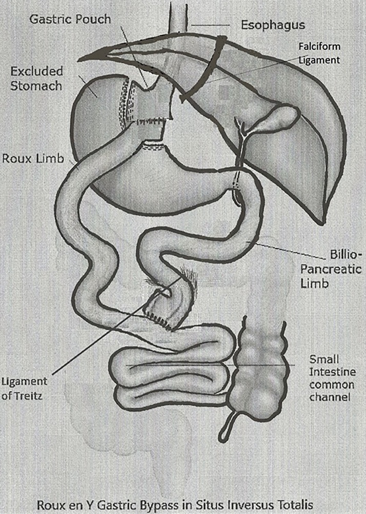 Fig. 4