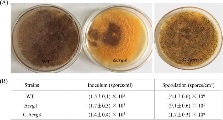 FIG 2