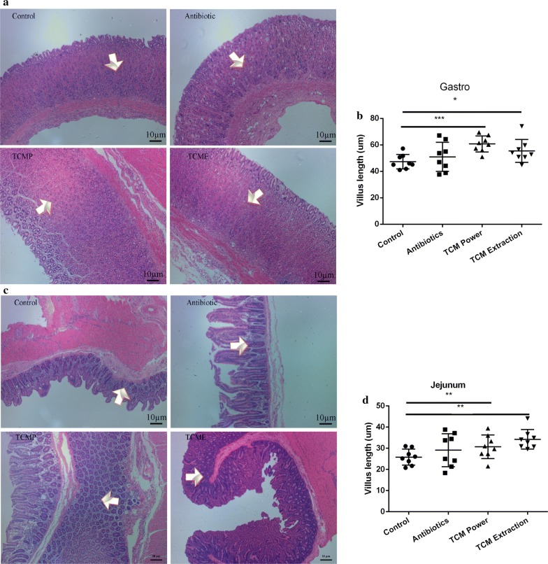 Fig. 3