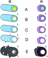 Fig. 5.