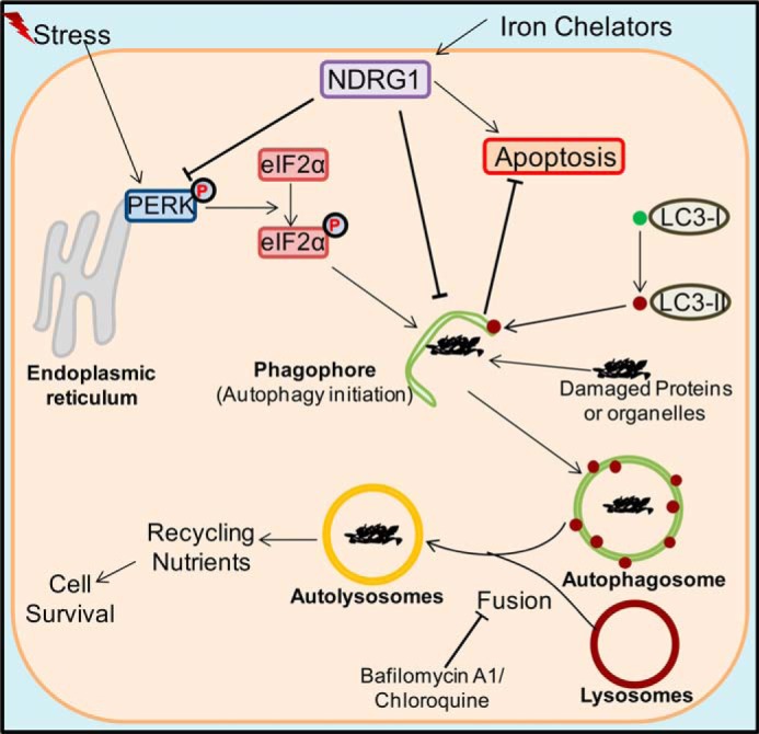 FIGURE 10.