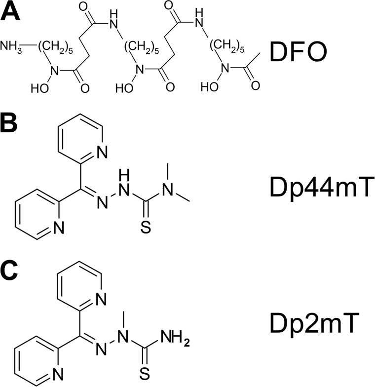 FIGURE 1.