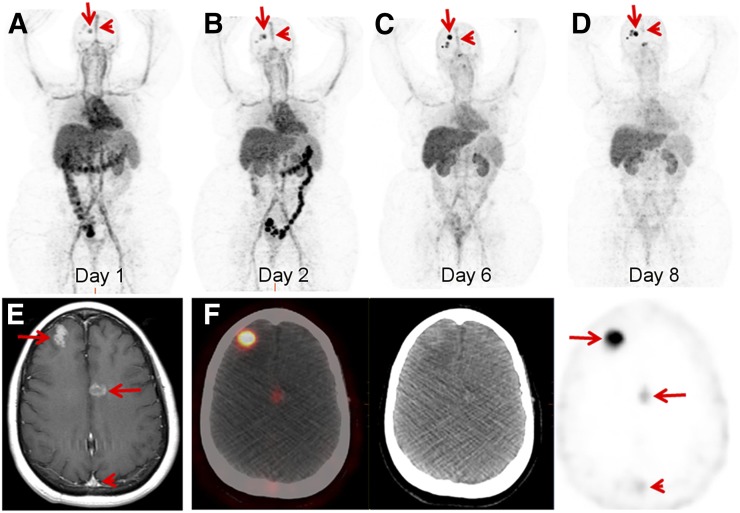 FIGURE 3.