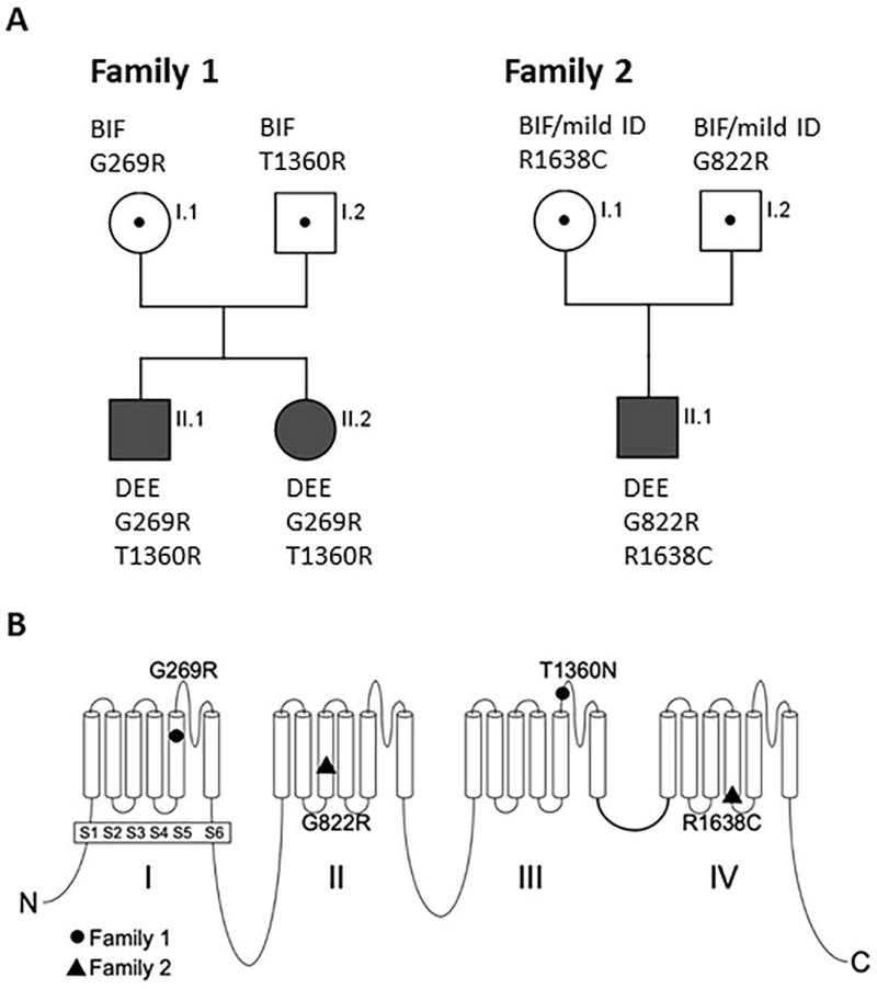 Figure 1: