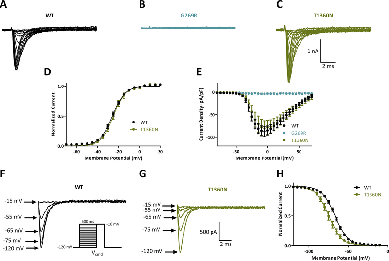 Figure 2: