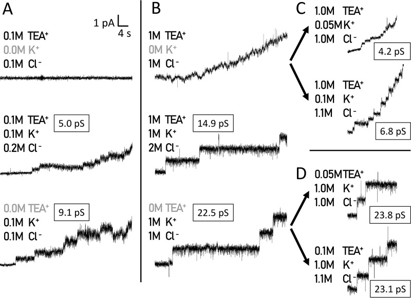 FIG 8