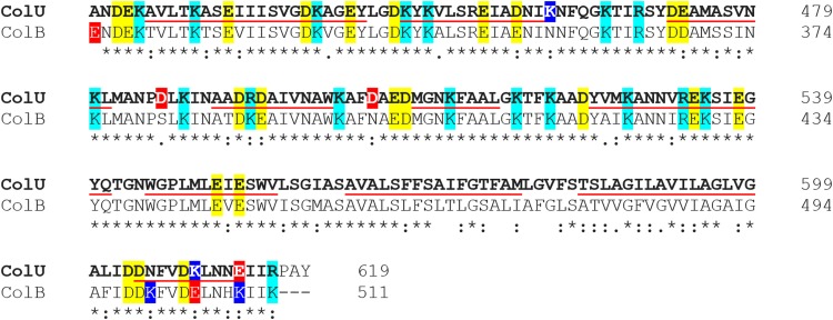 FIG 3