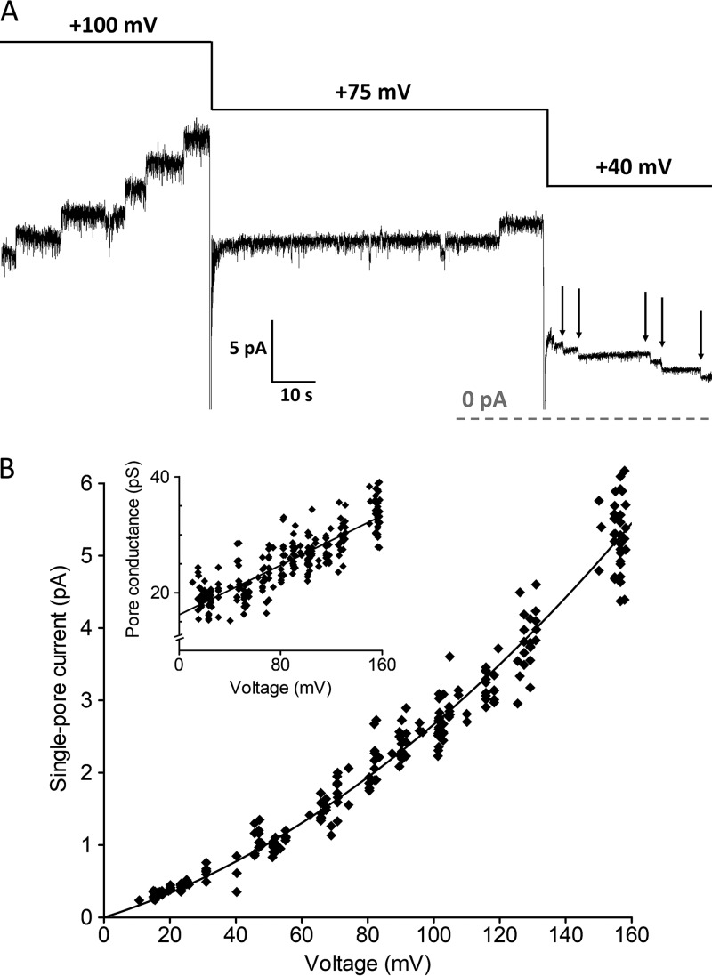 FIG 6