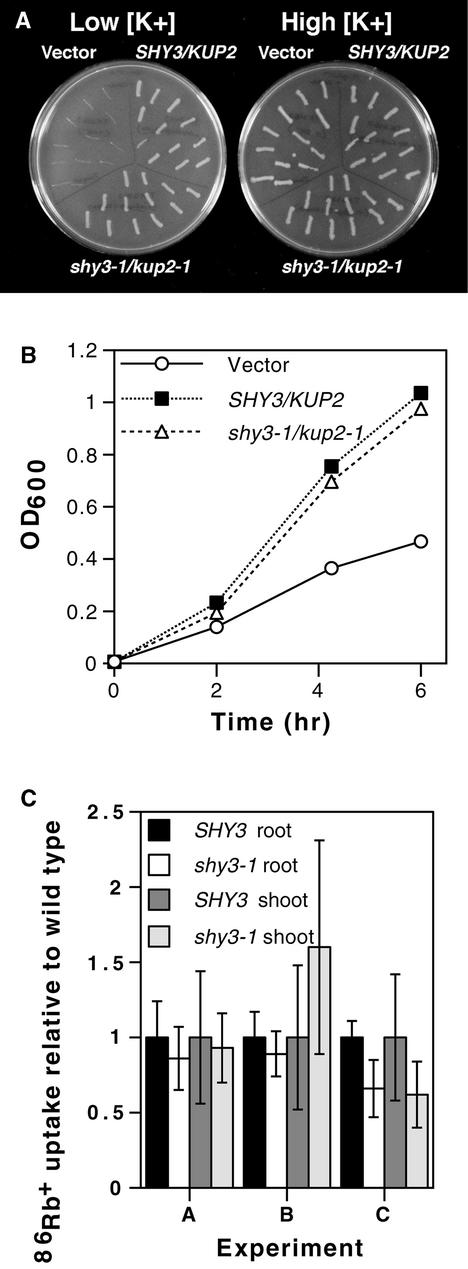 Figure 7.