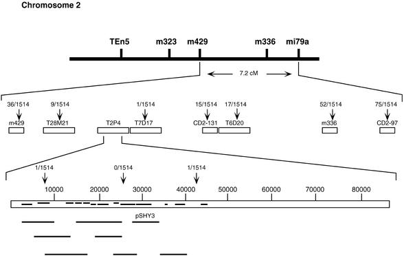 Figure 2.