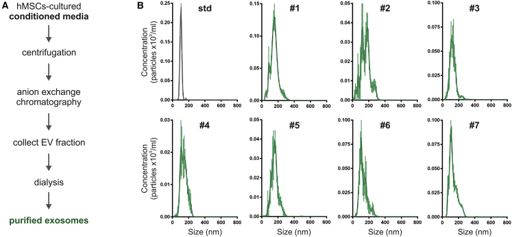 Figure 3