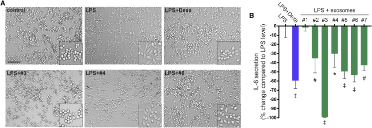 Figure 4