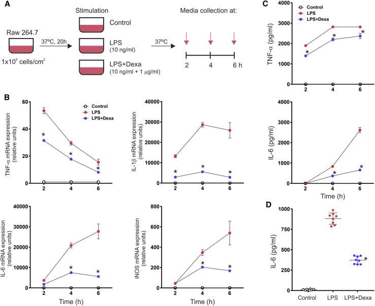 Figure 1