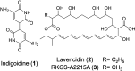 Fig 1