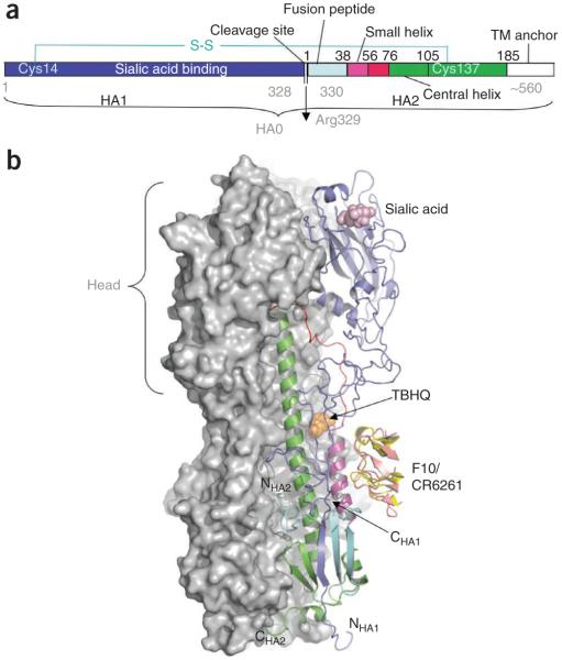 Figure 2