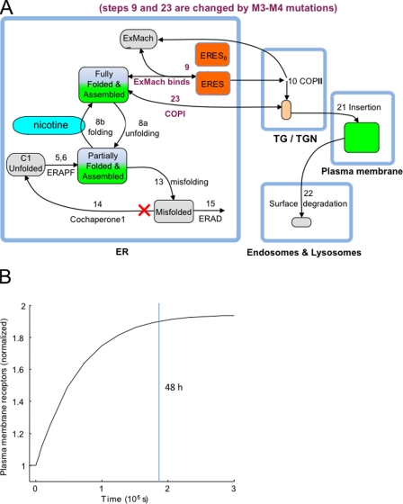 Figure 7.