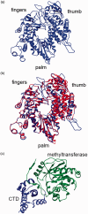 Figure 3.