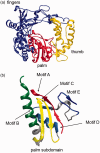 Figure 4.