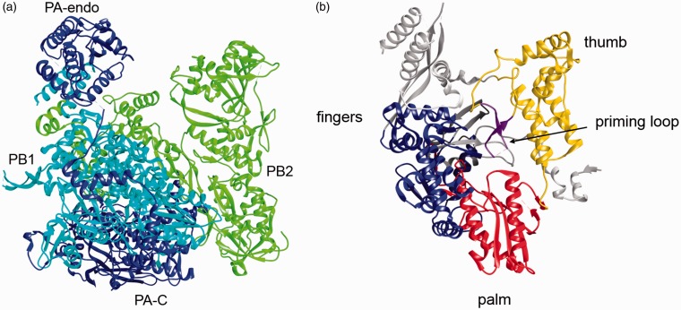 Figure 2.