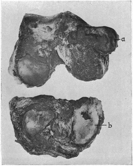 FIG. 9.