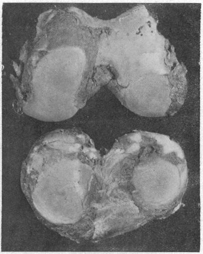 FIG. 8.