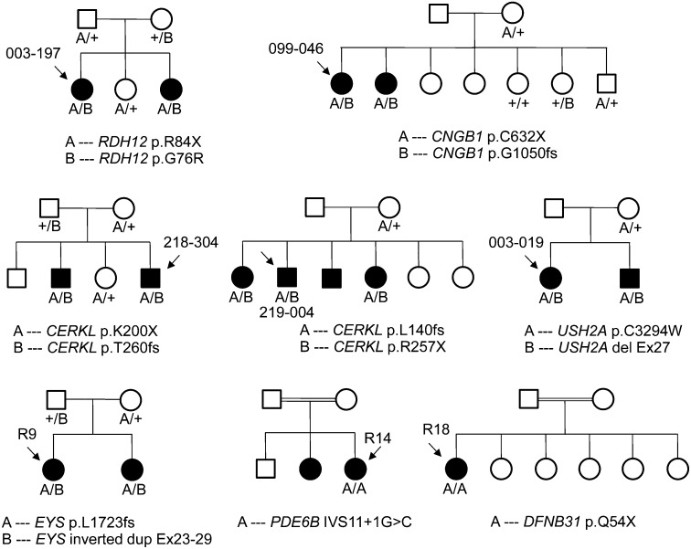 Fig. 3.