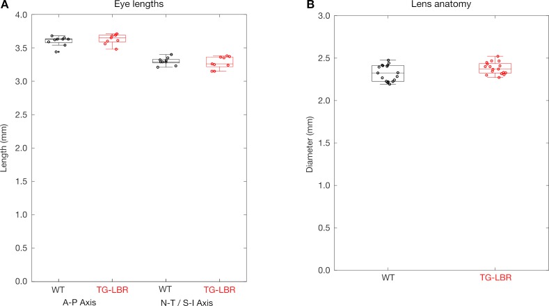 Figure 4—figure supplement 2.