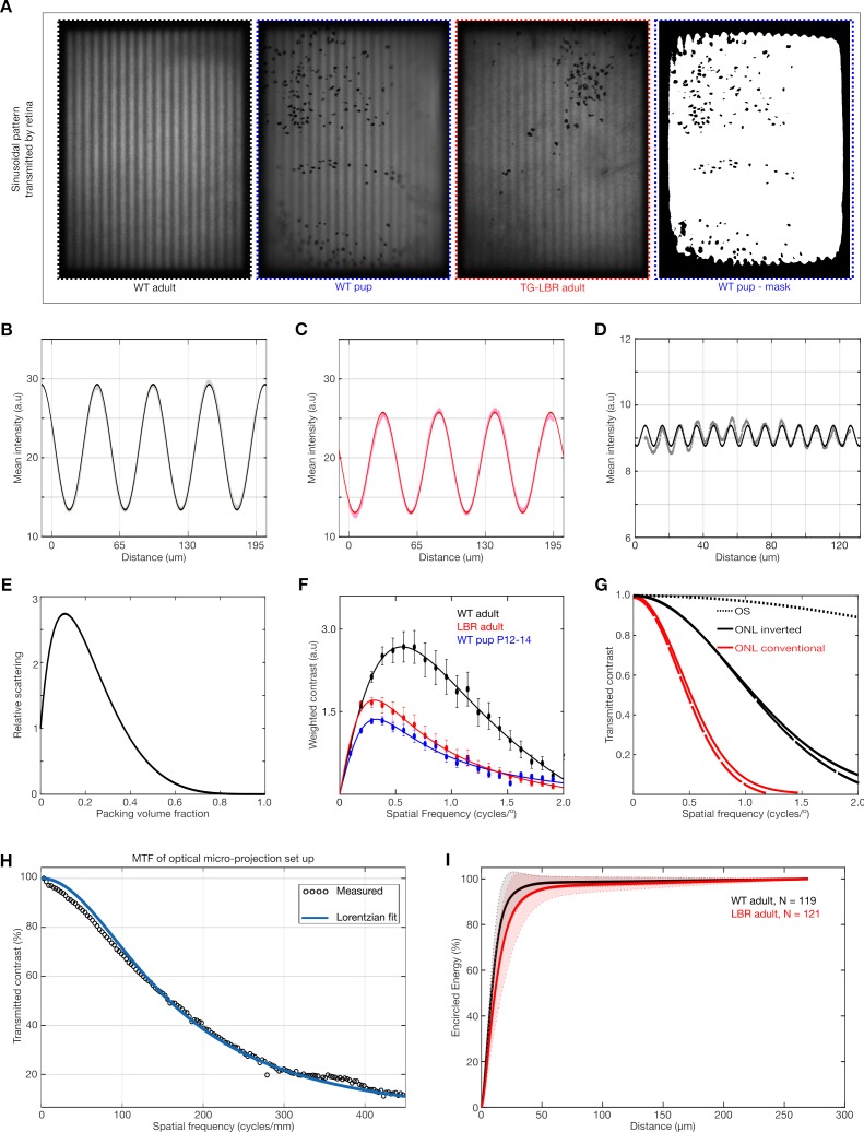 Figure 3—figure supplement 2.