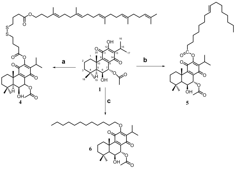 Scheme 2