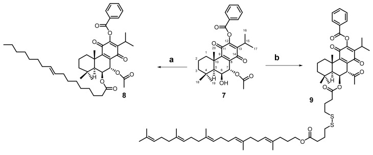 Scheme 3